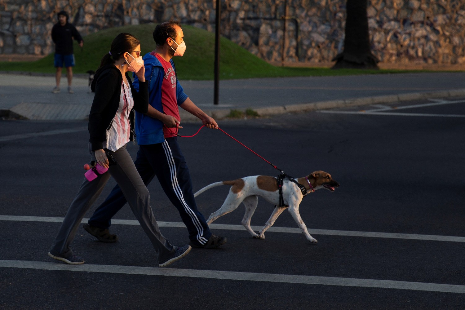 A couple walk their pet before night-time curfew announced by the government to keep people off the streets, to prevent infections amid the coronavirus disease (COVID-19) outbreak, in Vina del Mar, Chile March 22, 2020. Reuters/Rodrigo Garrido
