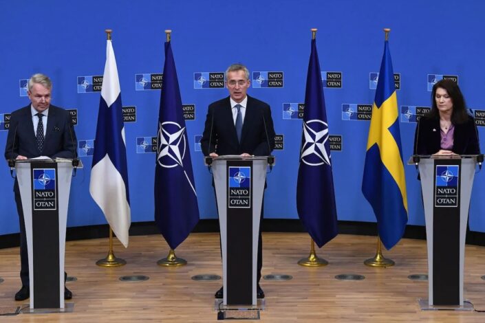 Bisenić: Erdogan će izvući korist od ulaska Švedske i Finske u NATO