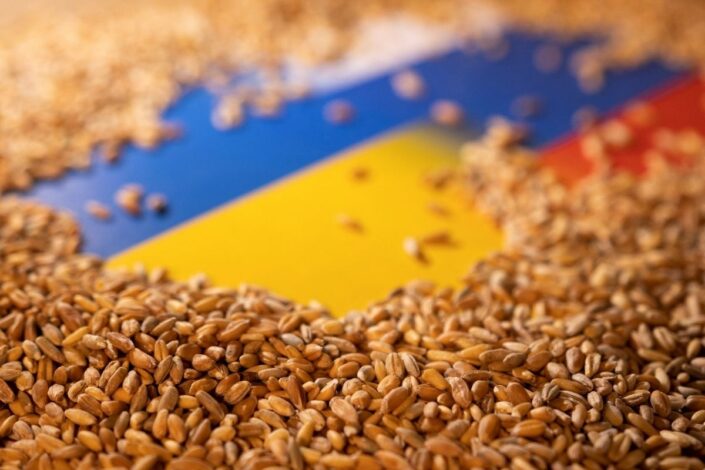 В. Корнилов: Да ли и због чега Русија блокира извоз жита из Украјине
