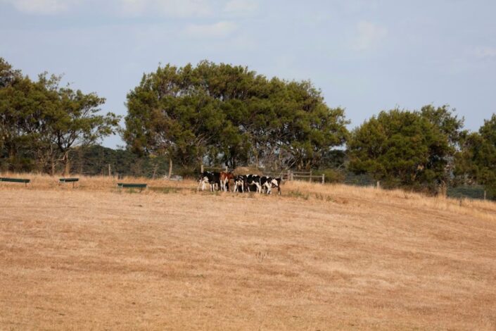 Propast srpske poljoprivrede (2)